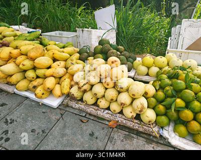 Verschiedene frische Früchte am Marktstand mit lebhaften Farben und Texturen, umgeben von Grün und natürlichem Licht Stockfoto