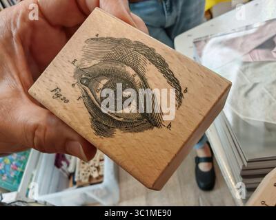 Das menschliche Auge, das Sinnesorgan für das visuelle Wahrnehmungsauge, das Organ für die visuelle Wahrnehmung Stockfoto