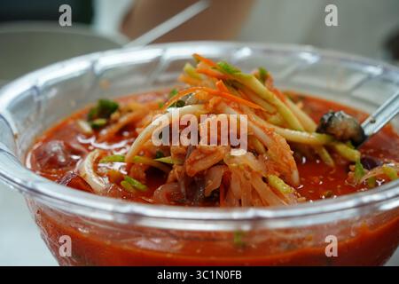 Nahaufnahme koreanischer scharfer kalter Rohfischsuppe (Mulhoe) mit frischem Gemüse Stockfoto