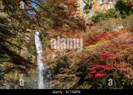 Die majestätischen Minoh Falls, die eine Klippe hinunterragen, wunderschön eingerahmt von farbenfrohen Herbstlaub im Minoh Park. Minoh, Osaka, Japan. Stockfoto