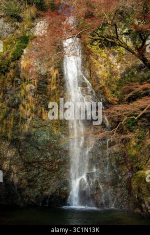 Die majestätischen Minoh Falls, die eine Klippe hinunterragen, wunderschön eingerahmt von farbenfrohen Herbstlaub im Minoh Park. Minoh, Osaka, Japan. Stockfoto