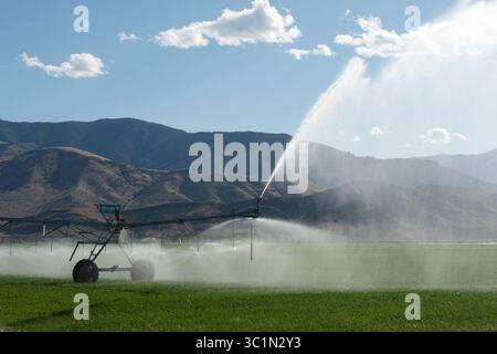 Das Center-Pivot-Bewässerungssystem im Alfalfa-Feld in Süd-Zentral-Idaho Stockfoto