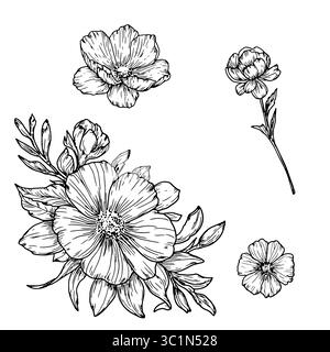 Blumenstrauß aus Wildblumen mit Blütenblättern und Knospen, schwarz-weiße Skizze. Vektorabbildung. Set von Silhouetten aus Blumen und Blättern, isoliert auf weiß Stock Vektor