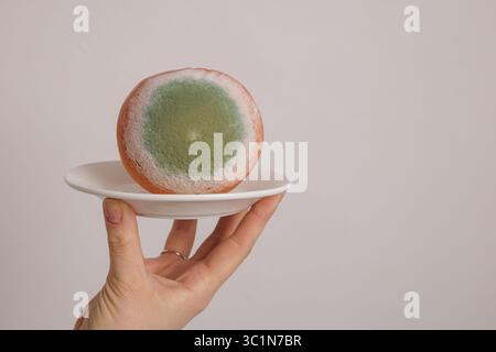 Schimmelige Orange mit grünem Pilz auf einem Teller, der Lebensmittelverderb, Kontamination und Gesundheitsgefahren veranschaulicht Stockfoto