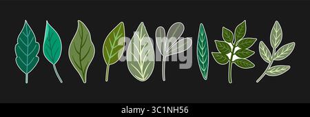 Kollektion von Stickern mit verschiedenen Blattformen Stock Vektor