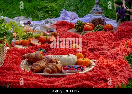 Charlotte, NC, USA. Oktober 2024. Ein lebhaftes Herbstpicknick bietet farbenfrohe Kürbisse, Äpfel, Wurstwaren, frisches Brot, Käse, und warme Getränke. Umgeben von goldenen Blättern und gemütlichen Decken in der frischen Herbstluft. (Kreditbild: © Walter G. Arce Sr./ASP via ZUMA Press Wire) NUR REDAKTIONELLE VERWENDUNG! Nicht für kommerzielle ZWECKE! Stockfoto
