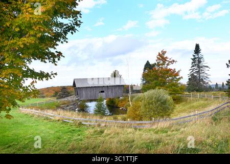 Die A. M. Foster Covered Bridge befindet sich in Cabot, Vemont. Sie überquert einen Quellteich inmitten einer Wiese. Die verwitterte Holzbrücke hat Aussicht Stockfoto