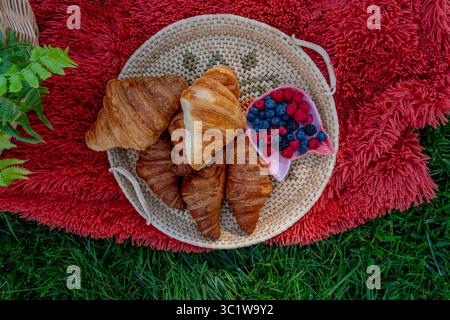 Ein lebhaftes Picknick im Herbst bietet farbenfrohe saisonale Speisen – helle Kürbisse, Äpfel, Wurstwaren, frisches Brot, Käse, und warme Getränke. Umschlossen b Stockfoto
