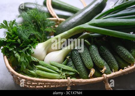 Frisches Gemüse, das gerade aus dem eigenen Garten geerntet wurde. Zwiebeln mit Zwiebeln, Gurken, Zuckererbsen, Zucchini, Dill und Petersilie im Gartenkorb. Konzept des ökologischen Landbaus Stockfoto