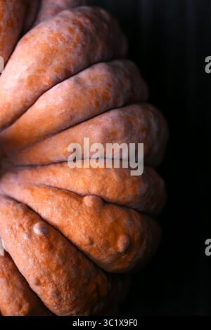 Nahaufnahme des schwarzen Futsu-Kürbis mit farbenfroher strukturierter Haut mit Unebenheiten und Falten. Kreativer Herbsthintergrund, in dem ererbliche Kürbismuster hervorgehoben werden Stockfoto