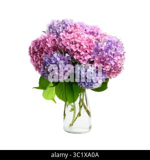 Blaue und rosa Hortensie Blumen Blumenstrauß in einer Glasvase isoliert auf weißem Hintergrund Stockfoto