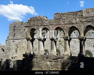 Überreste des Kreuzgangs der Abtei aus dem 12. Jahrhundert in Cong, County Mayo, Irland Stockfoto