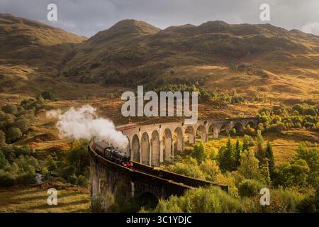 Blick auf eine alte Dampfeisenbahn, die weißen Rauch weht, während sie das Glenfinnan Viaduct überquert, vor dem Hintergrund sanfter Hügel und herbstlicher Farben, Schottland, Großbritannien. Stockfoto