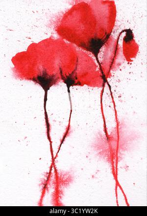 Aquarell abstrakte rote Mohnblumen-Illustration, ausdrucksstarkes Blumengemälde auf weißem Hintergrund Stockfoto