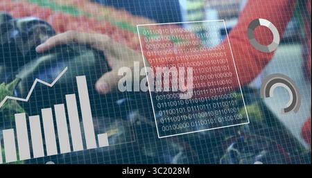 Die Hand in rotem Langarm, das Auberginen im Supermarktregal mit digitalen Diagrammen packt Stockfoto