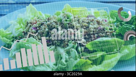 Anzeigen von Salatsalat mit Getreidemischung im Studio unter Binärcode-Diagramm und Fortschrittsüberlagerungen Stockfoto