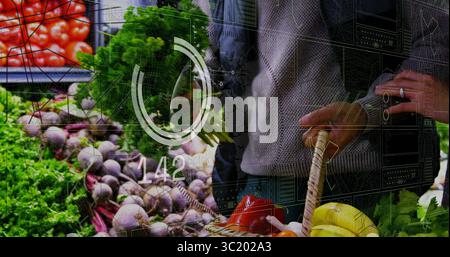 Ein paar Käufer, die Tomaten und Gemüse auf dem Bauernmarkt pflücken, mit Korbkorb Stockfoto