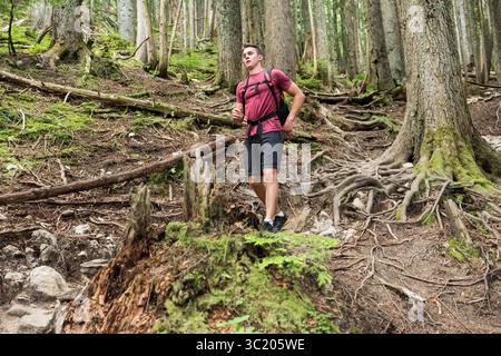Wanderer, der einen steilen, mit Wurzeln bedeckten Weg in dichten Nadelwäldern mit Rucksack und Wanderschuhen hinabführt Stockfoto