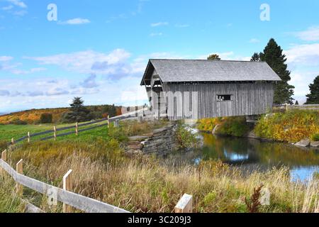 Zwei ältere Frauen posieren im Fenster der A. M. Foster Covered Bridge in Cabot, Vermont. Das ferne Herbstlaub ist im Hintergrund. Stockfoto