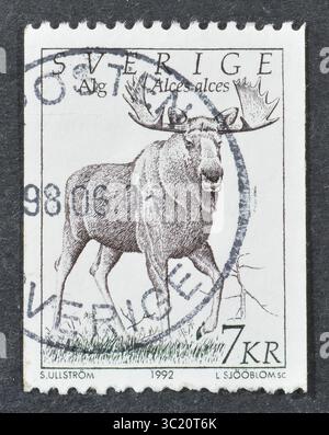 Gestempelte Briefmarke, gedruckt von Schweden, auf der Elche (Alces alces), um 1992. Stockfoto