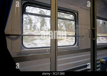 Blick durch ein Zugfenster, das sich durch eine Waldlandschaft in der Winterlandschaft bewegt. Stockfoto