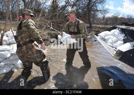 8. April 2019: West Grand Forks, ND, Vereinigte Staaten von Amerika – die National Guardsmen der North Dakota Army stellen Sandsäcke in Hochwasser, um das aufsteigende Hochwasser von einem Abflusskanal in eine Farm im ländlichen Cass County am 8. April 2019 in der Nähe von West Grand Forks, North Dakota, zu blockieren. Es wird erwartet, dass sich die Rekordflut verschlimmert, da in den nächsten Tagen ein Spätwintersturm in den Mittleren Westen der USA eindringt. (Bild: © David H. Lipp via ZUMA Wire) Stockfoto