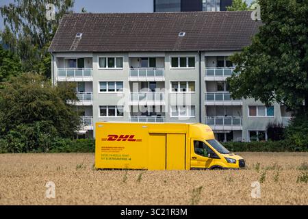 DHL Paketwagen, Elektrofahrzeug, auf dem Weg zum Kunden, ländliche Gegend, auf einer Feldstraße durch ein Maisfeld, Nordrhein-Westfalen, Deutsch Stockfoto