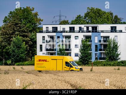DHL Paketwagen, Elektrofahrzeug, auf dem Weg zum Kunden, ländliche Gegend, auf einer Feldstraße durch ein Maisfeld, Nordrhein-Westfalen, Deutsch Stockfoto