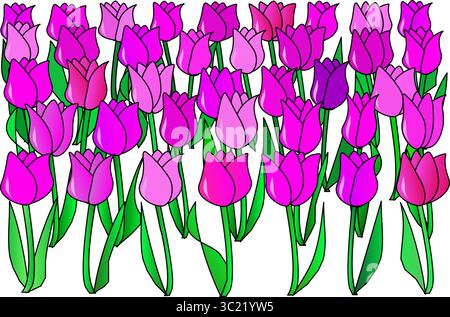 Fünf Reihen mit rosa Tulpen auf transparentem Hintergrund. Eine Tulpe ist dunkelviolett Stock Vektor