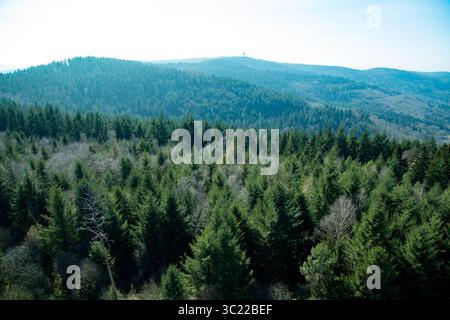 Weitläufiger Panoramablick Über Endlose Bewaldete Rolling Hills Stockfoto