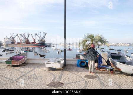 Hunde beobachten Fischerboote im Hafen von Lissabon Stockfoto