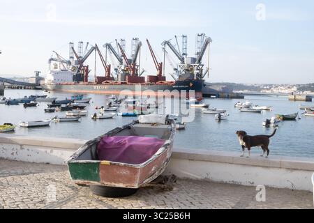 Hunde beobachten Fischerboote im Hafen von Lissabon Stockfoto