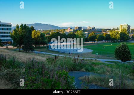 Ein Softballspiel im China Creek North Park in False Creek Flats mit den North Shore Mountains dahinter, Vancouver, BC. Stockfoto