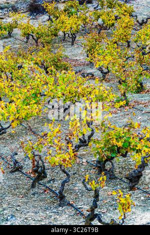 29. Oktober 2017 - Cenicero, Baskenland-Alava, SPANIEN - Weinberge im Herbst. Dorf Cenicero. La Rioja, Spanien, Europa (Bild: © Mikel Bilbao/Vwpics/VW Pics Via ZUMA Wire) Stockfoto