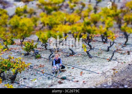 29. Oktober 2017 - Cenicero, Baskenland-Alava, SPANIEN - Weinberge im Herbst. Dorf Cenicero. La Rioja, Spanien, Europa (Bild: © Mikel Bilbao/Vwpics/VW Pics Via ZUMA Wire) Stockfoto