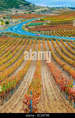 29. Oktober 2017 - Cenicero, Baskenland-Alava, SPANIEN - Weinberge im Herbst. Dorf Cenicero. La Rioja, Spanien, Europa (Bild: © Mikel Bilbao/Vwpics/VW Pics Via ZUMA Wire) Stockfoto
