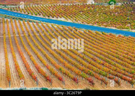 29. Oktober 2017 - Cenicero, Baskenland-Alava, SPANIEN - Weinberge im Herbst. Dorf Cenicero. La Rioja, Spanien, Europa (Bild: © Mikel Bilbao/Vwpics/VW Pics Via ZUMA Wire) Stockfoto