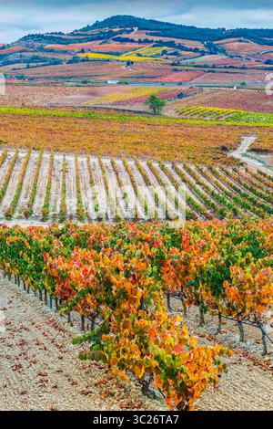 29. Oktober 2017 - Cenicero, Baskenland-Alava, SPANIEN - Weinberge im Herbst. Dorf Cenicero. La Rioja, Spanien, Europa (Bild: © Mikel Bilbao/Vwpics/VW Pics Via ZUMA Wire) Stockfoto