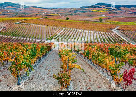 29. Oktober 2017 - Cenicero, Baskenland-Alava, SPANIEN - Weinberge im Herbst. Dorf Cenicero. La Rioja, Spanien, Europa (Bild: © Mikel Bilbao/Vwpics/VW Pics Via ZUMA Wire) Stockfoto