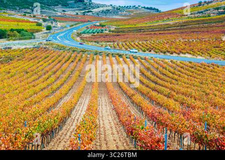 29. Oktober 2017 - Cenicero, Baskenland-Alava, SPANIEN - Weinberge im Herbst. Dorf Cenicero. La Rioja, Spanien, Europa (Bild: © Mikel Bilbao/Vwpics/VW Pics Via ZUMA Wire) Stockfoto