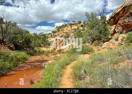 Haus auf der Feuerruine, Utah USA Stockfoto