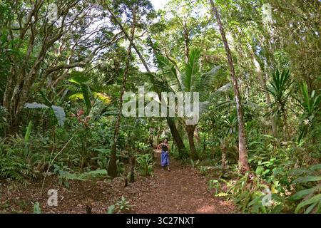 Dezember 2011 - Lady beobachtet den tropischen Wald auf der Isle of Pines, Neukaledonien, Südpazifik (Bild: © Andre Seale / Vwpics/VW Pics via ZUMA Wire) Stockfoto