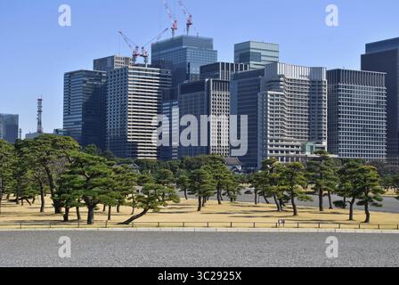 17. März 2019 - Tokio, Japan - öffentlicher Garten des Kaiserpalastes. Hintergrund: Gebäude von Chidoya, Tokio, Japan. (Kreditbild: © Martha Barreno/Vwpics/VW Pics via ZUMA Wire) Stockfoto
