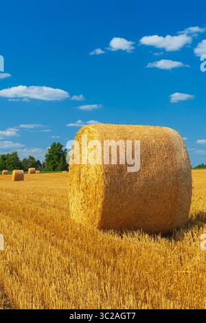 Riesige Rundballen Weizenstroh auf einem Feld in der Nähe von Exeter Ontario Kanada. Juli 2025. Stockfoto