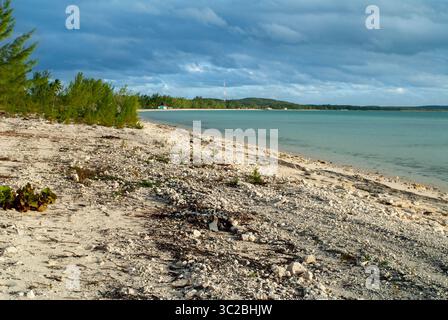24. Mai 2019: Bahamas: Cat Island, Bahamas. Strand des Ostens (Atlantik) Pine Bay, Cat Island. (Kreditbild: © Sergi Reboredo/ZUMA Wire) Stockfoto