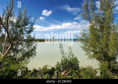 24. Mai 2019: Bahamas: Cat Island, Bahamas. Strand des Ostens (Atlantik) Pine Bay, Cat Island. (Kreditbild: © Sergi Reboredo/ZUMA Wire) Stockfoto