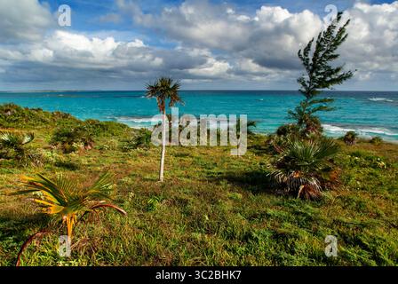 24. Mai 2019: Bahamas: Cat Island, Bahamas. Strand des Ostens (Atlantik) Pine Bay, Cat Island. (Kreditbild: © Sergi Reboredo/ZUMA Wire) Stockfoto