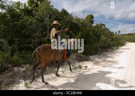 24. Mai 2019: Bahamas: Cat Island, Bahamas. Mann reitet auf einem Pferd in der East (Atlantic) Gegend Pine Bay, Cat Island. (Kreditbild: © Sergi Reboredo/ZUMA Wire) Stockfoto