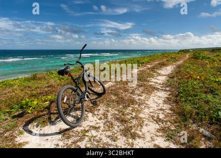 24. Mai 2019: Bahamas: Cat Island, Bahamas. Strand des Ostens (Atlantik) Pine Bay, Cat Island. Das Fahrrad ist die beste Möglichkeit, die Insel zu sehen. (Kreditbild: © Sergi Reboredo/ZUMA Wire) Stockfoto