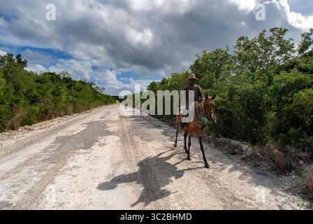24. Mai 2019: Bahamas: Cat Island, Bahamas. Mann reitet auf einem Pferd in der East (Atlantic) Gegend Pine Bay, Cat Island. (Kreditbild: © Sergi Reboredo/ZUMA Wire) Stockfoto